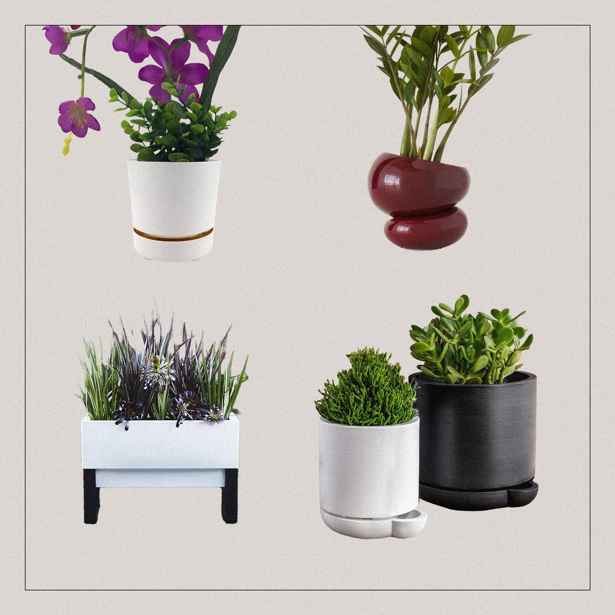 The 10 Best Self Watering Planters Of 2024 5906