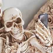Skeleton, Bone, Skull, Anthropology, Jaw, Human, Stock photography, Illustration, Art, 
