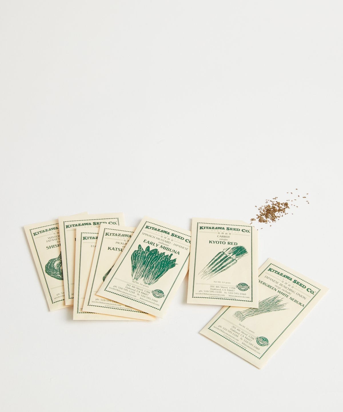 semillas para plantar hierbas aromáticas