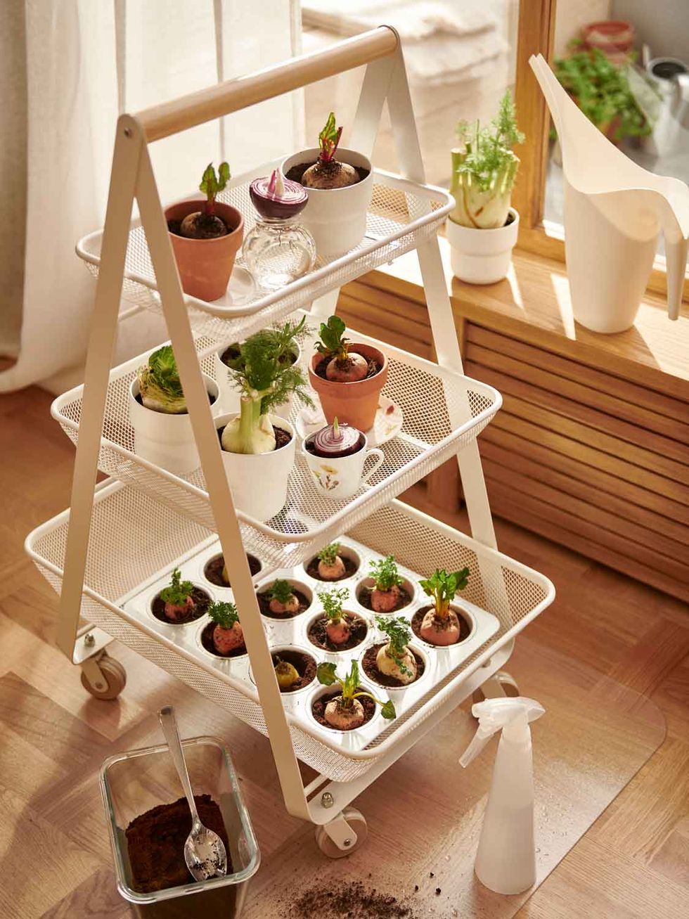 La novedad de IKEA que arrasará entre los amantes de las plantas: un mini  invernadero para que tengas en casa tu propio huerto urbano