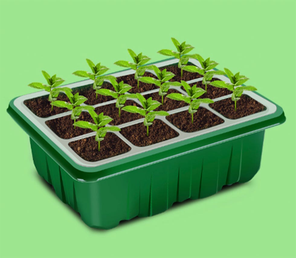 el invernadero invernadero mini de amazon tiene 72 celdas para cultiva hortalizas, verduras y flores