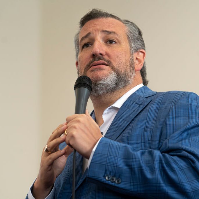 We Regret to Inform You that Actually Ted Cruz Has a Point