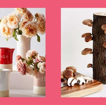gifts for seniors monogrammed dipped ceramic pitcher and shiitake mushroom log kit