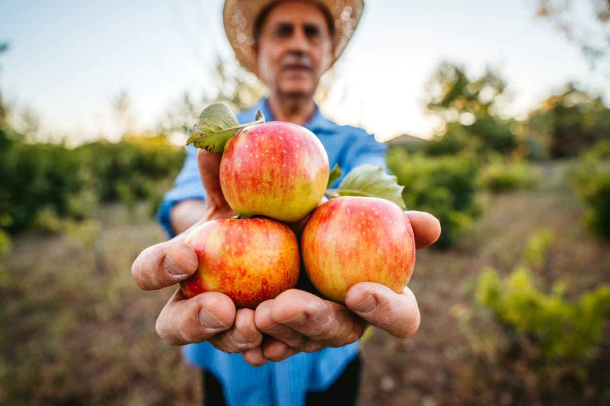 How to Pick the Best Apples