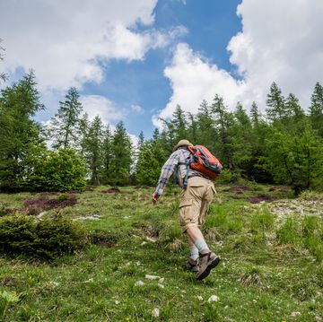 senior mountaineer hiking in alps