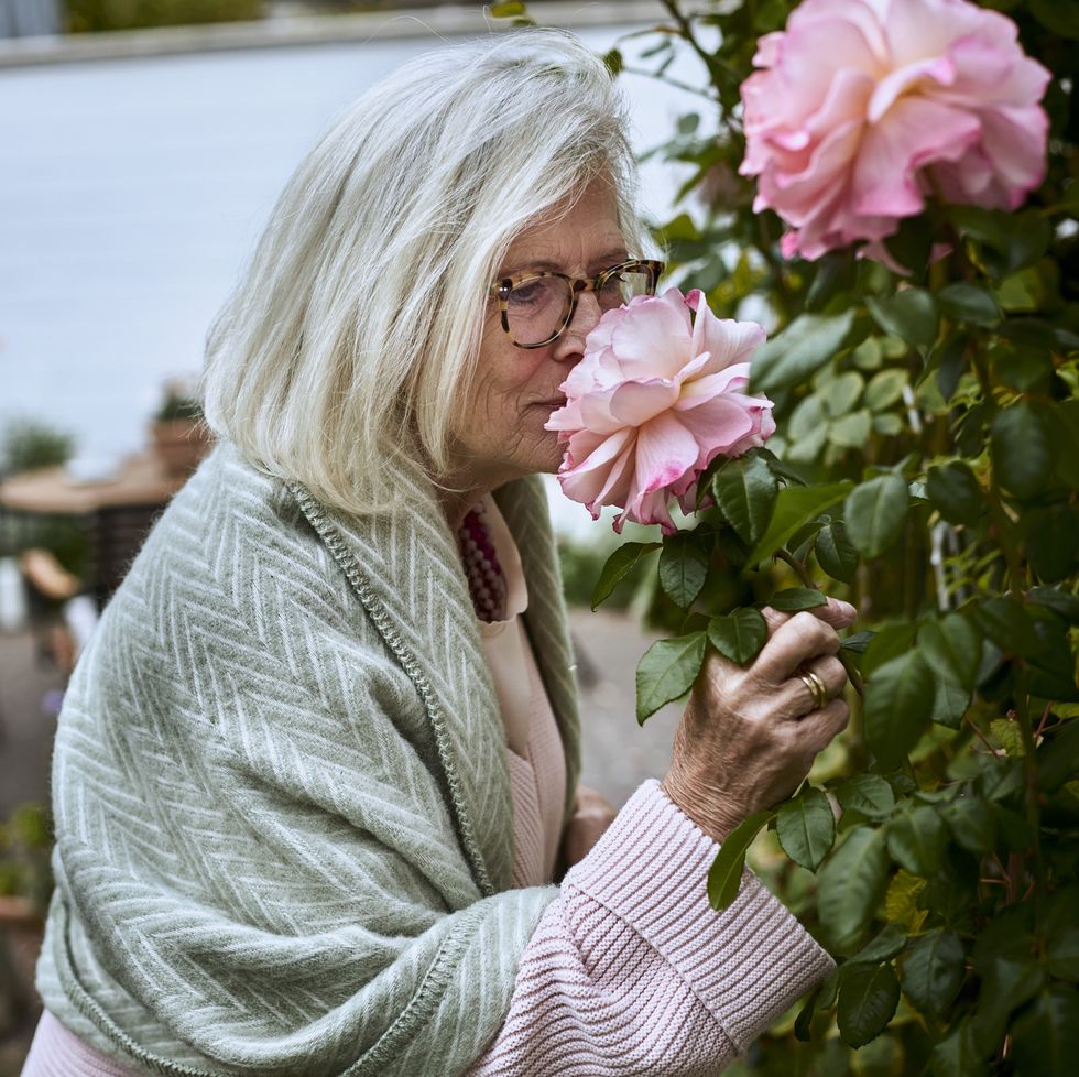 senior woman smelling at rose in garden