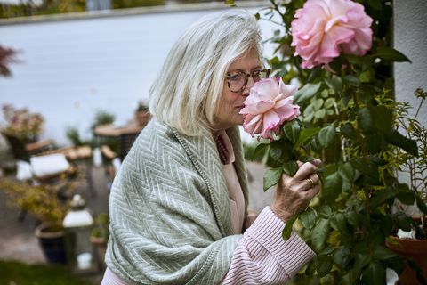 senior woman smelling at rose in garden