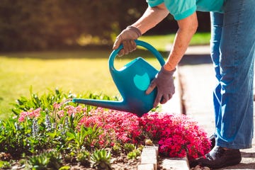 senior woman taking care of her flowers in the back yard
