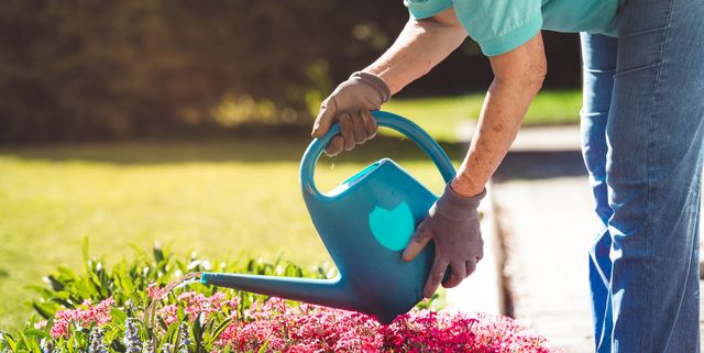 Best Gardening Tools for Arthritis Sufferers