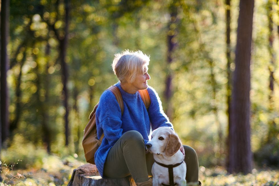 a senior woman with dog on a walk outdoors in forest, resting
