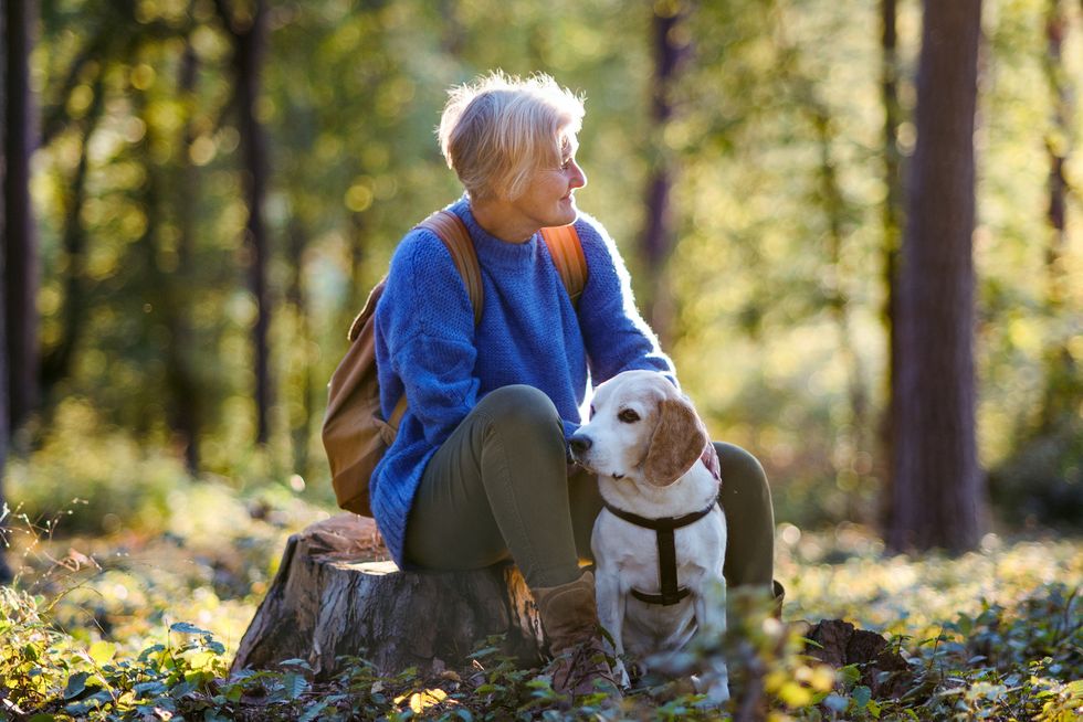 a senior woman with dog on a walk outdoors in forest, resting