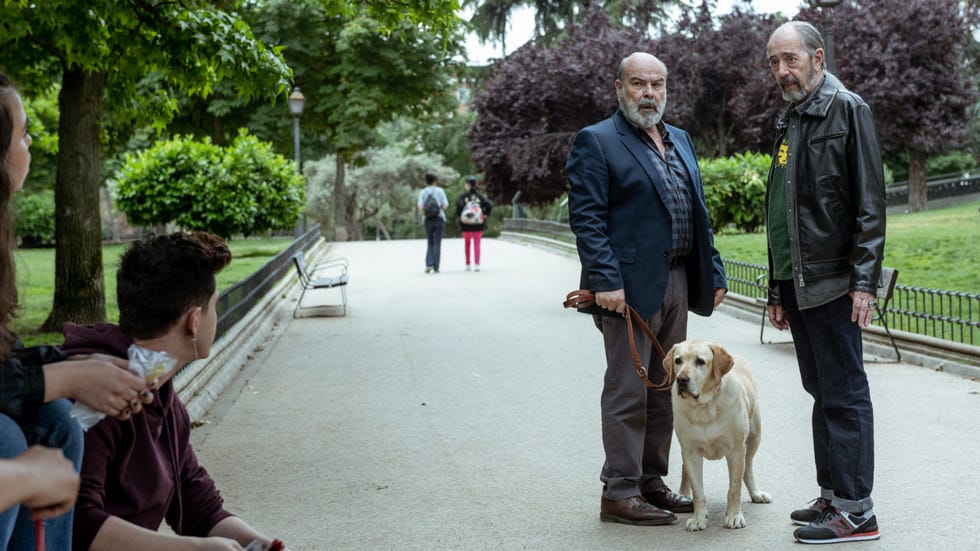 la serie de estreno sentimos las molestias