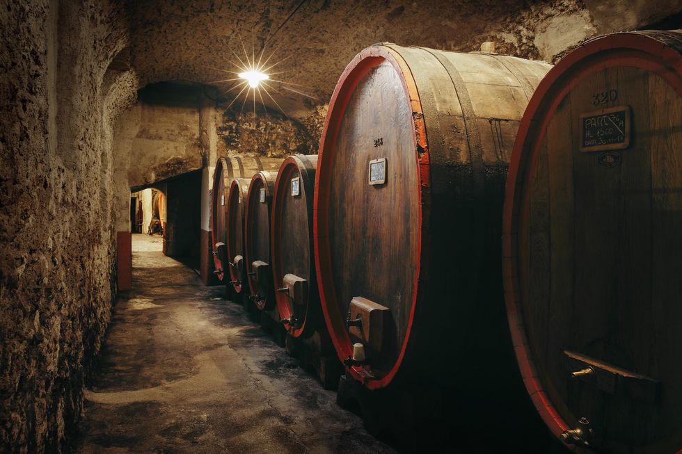 Barrel, Winery, Wine cellar, Basement, Wine, Night, Brewery, Drink, Distilled beverage, 