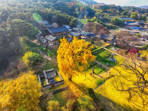 Seowon, Korean Neo-Confucian Academies, Korea NEOCONFUCIAANSE SCHOLEN SEOWON VAN ZUIDKOREAVan de vijftiende tot de negentiende eeuw werden in heel ZuidKorea neoConfuciaanse hogescholen of seowon opgericht waaronder deze negen academies die in de natuur werden gebouwd Het ontwerp van de gebouwen was bedoeld om studenten ontzag voor de natuur bij te brengen en te overtuigen van het belang van de geest en het fysieke zelf