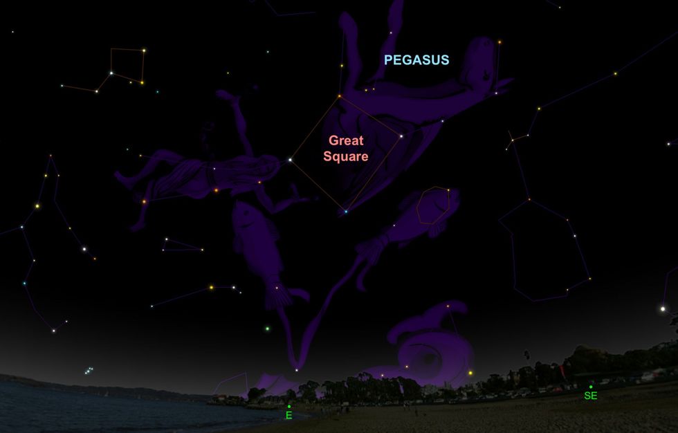 Kijk op 30 september hoe het grote sterrenbeeld Pegasus in het noordwesten opkomt