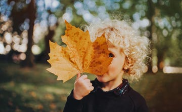 september holidays  kid holding a maple leaf up to their face