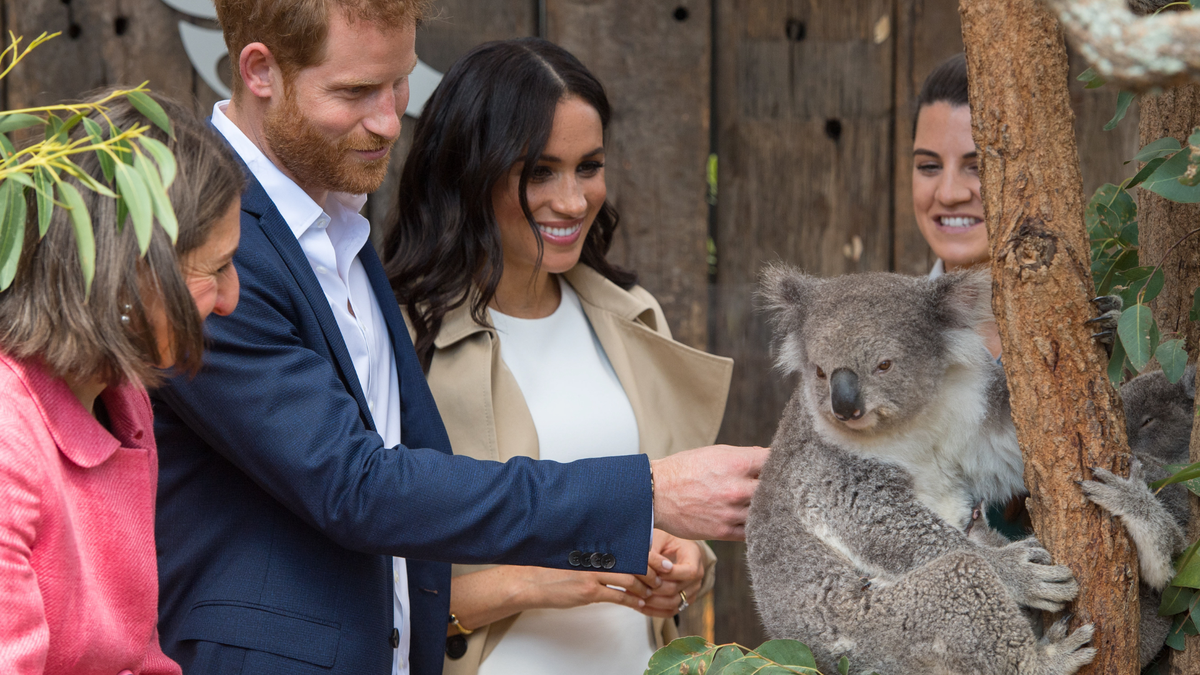 preview for The moments you missed from Prince Harry and Meghan Markle's royal tour