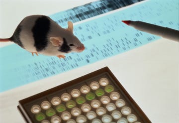 dna sequence and mouse on lightbox in laboratory