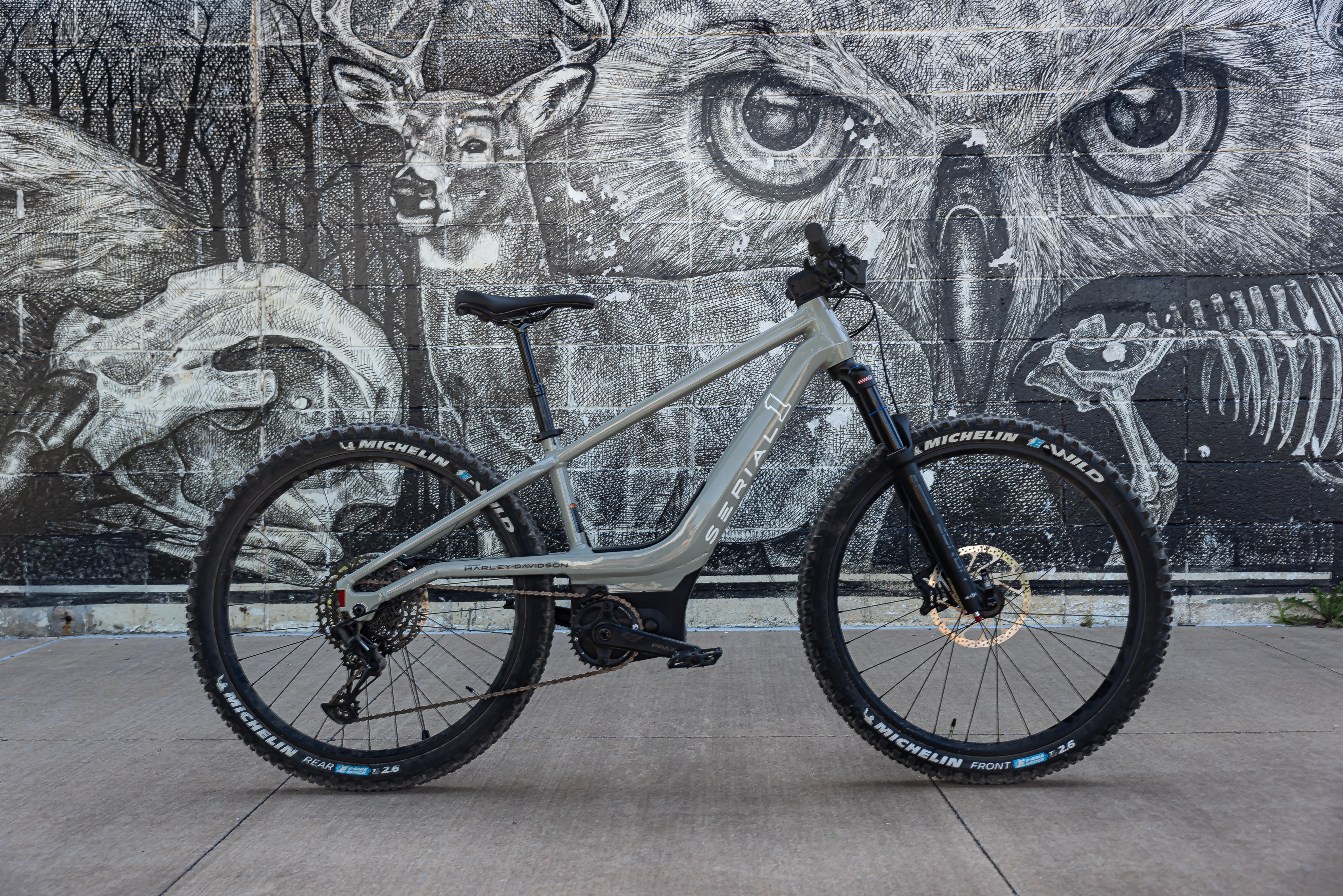 Serial 1 Switch MTN Review Best E Bikes