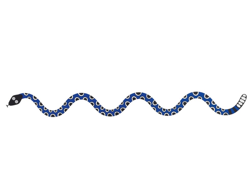 magic snake de alexander girard