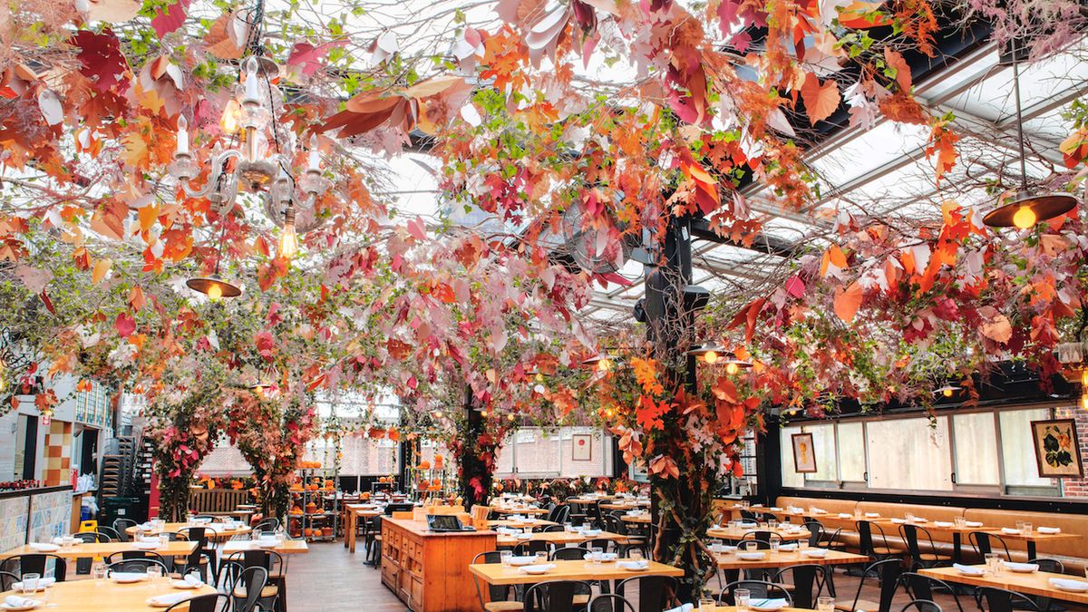 preview for Eataly's Rooftop Restaurant Has Transformed Itself For Fall