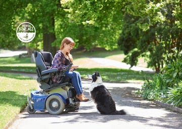 a woman in a wheelchair uses a treat to help train her dog in a city park