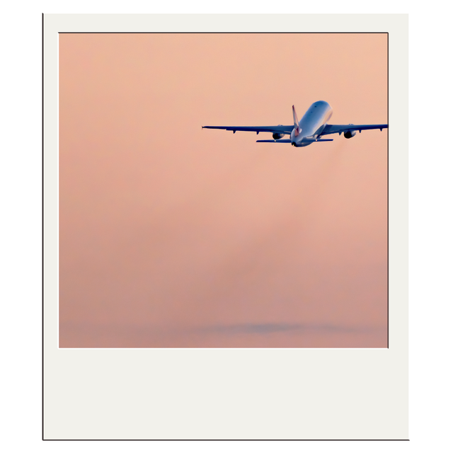 services and transportation