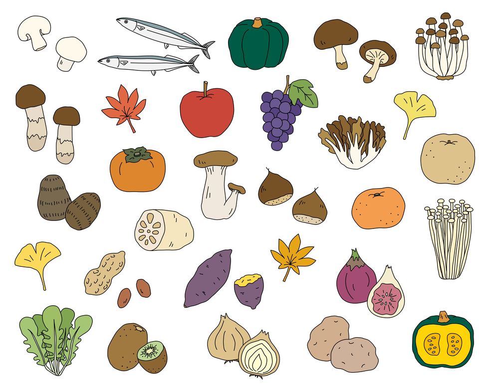 set of hand drawn illustrations of autumn foods