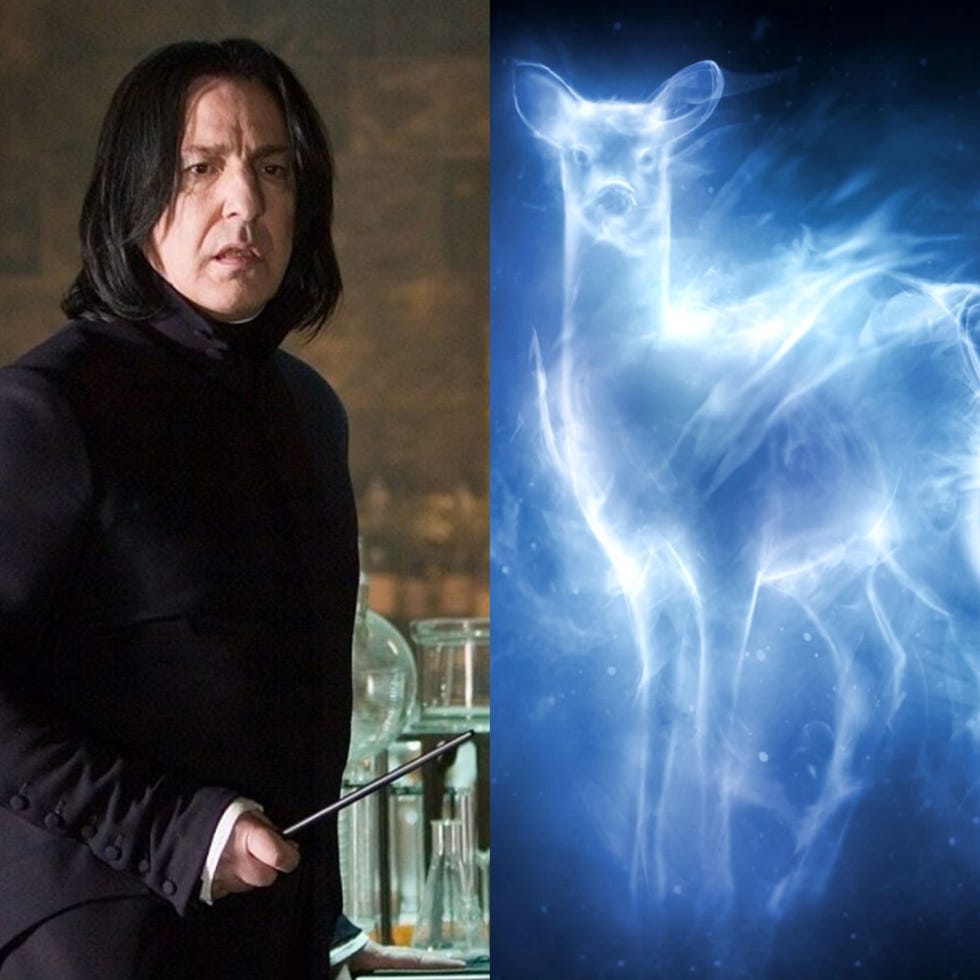 Warum Hat Snape Den Gleichen Patronus Wie Harrys Mutter Harry Potter: ¿Qué formas tienen los Expecto Patronum de Harry, Ron