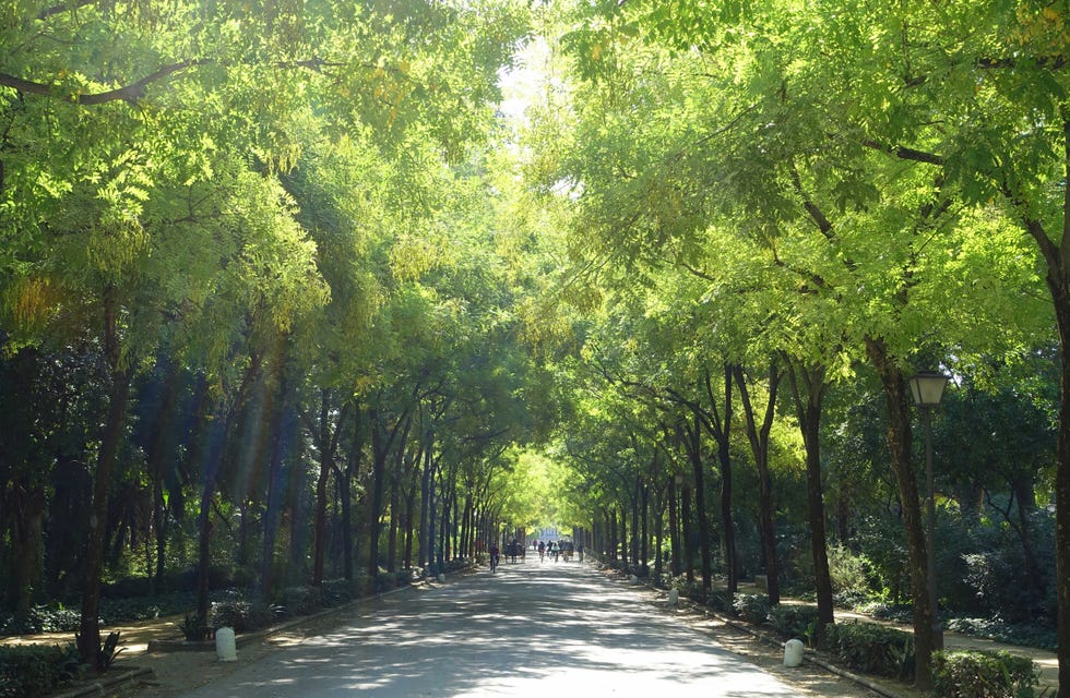 ciudades, parques, españa, running, verano