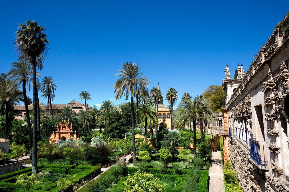 Alcazar gardens