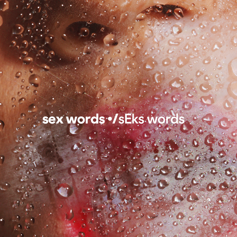 810px x 810px - 111 Sex Words to Know - Sex Slang Glossary and Lingo Definitions