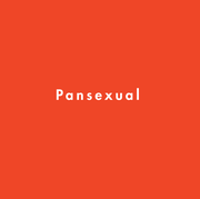 pansexual definition