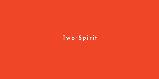 Two Spirit Transgender Flag - All Indigenous and Aboriginal Flags