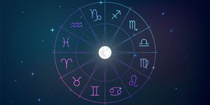 Signs of the zodiac in night sky