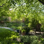 a backyard oasis with plants, trees and a pond