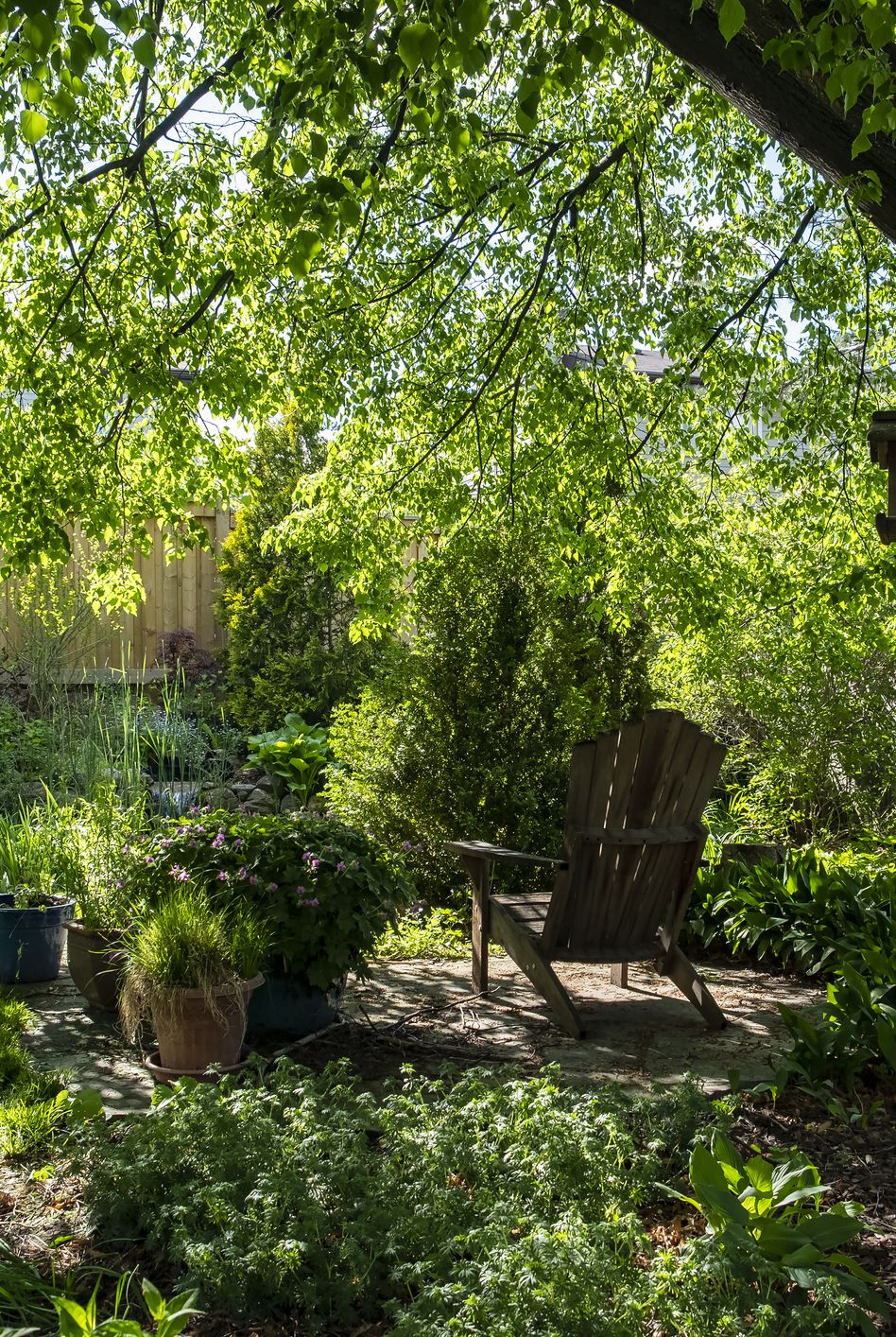 backyard oasis shade garden plan
