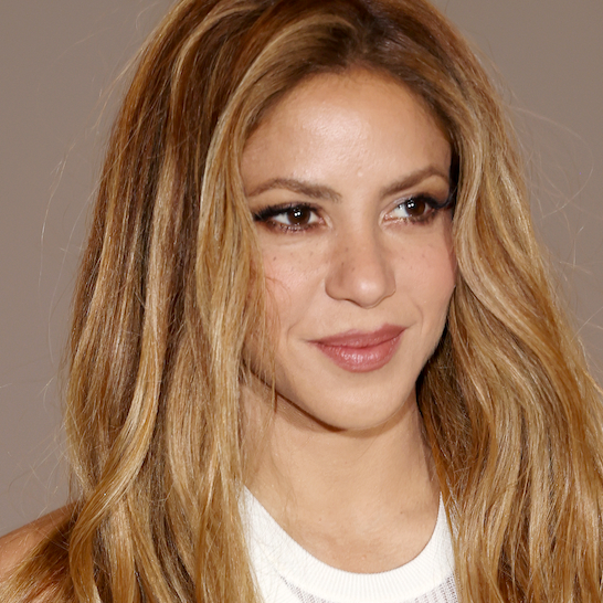 Shakira Left Fans Speechless With the Most Daring Bra-Inspired Look