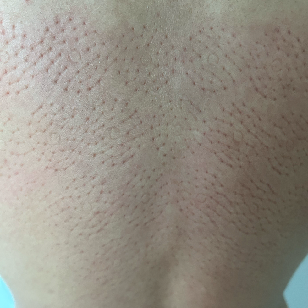 shakti mat review