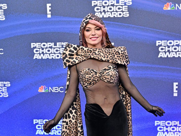 734px x 551px - Shania Twain Has ðŸ”¥ Abs In People's Choice Awards Sheer Dress Pics