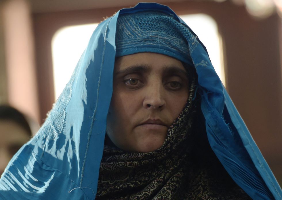 sharbat gula, la ragazza afghana ritratta da stevemc curry è salva