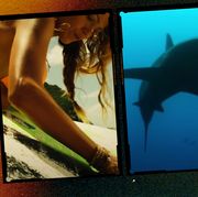 the shallows and other shark movies  best shark movies of all time