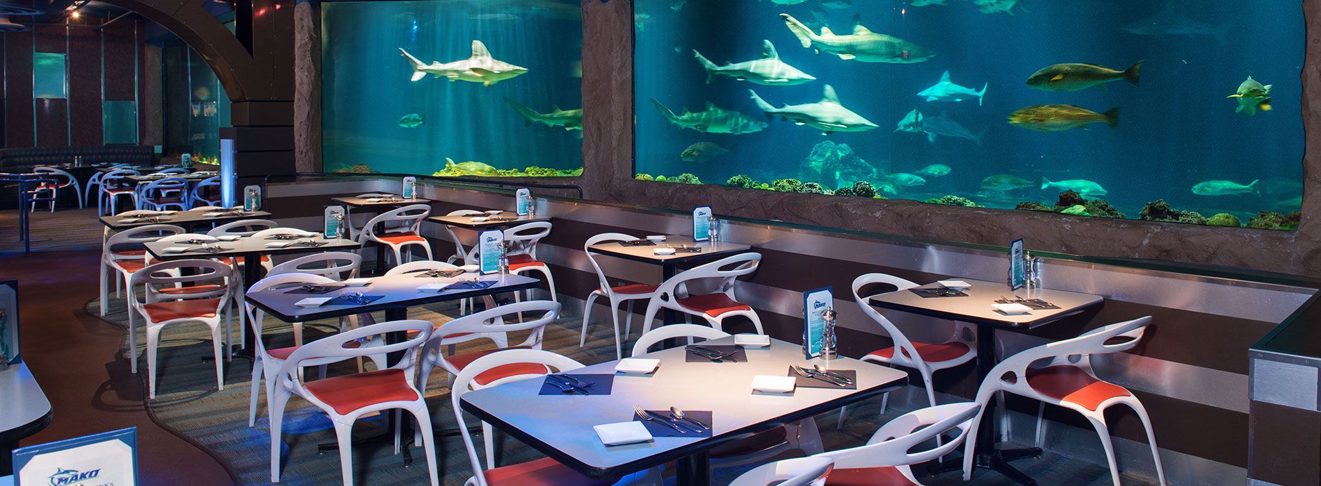 ithaa undersea restaurant sharks