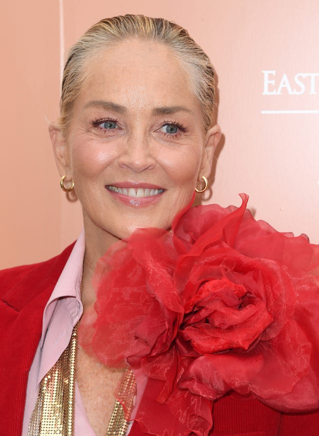 sharon stone son birthday tribute roan