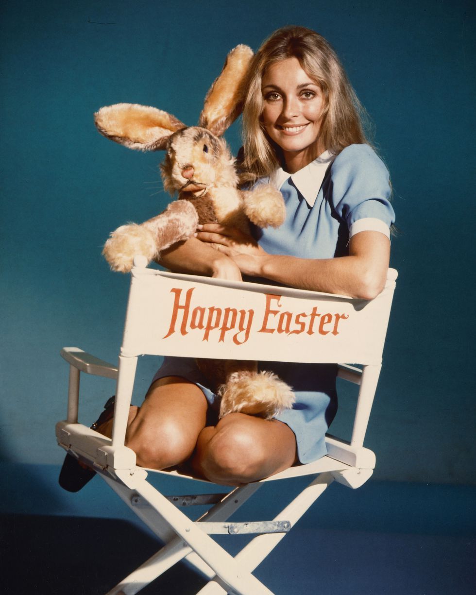 Fawn, Happy, Sitting, Child, Easter bunny, 