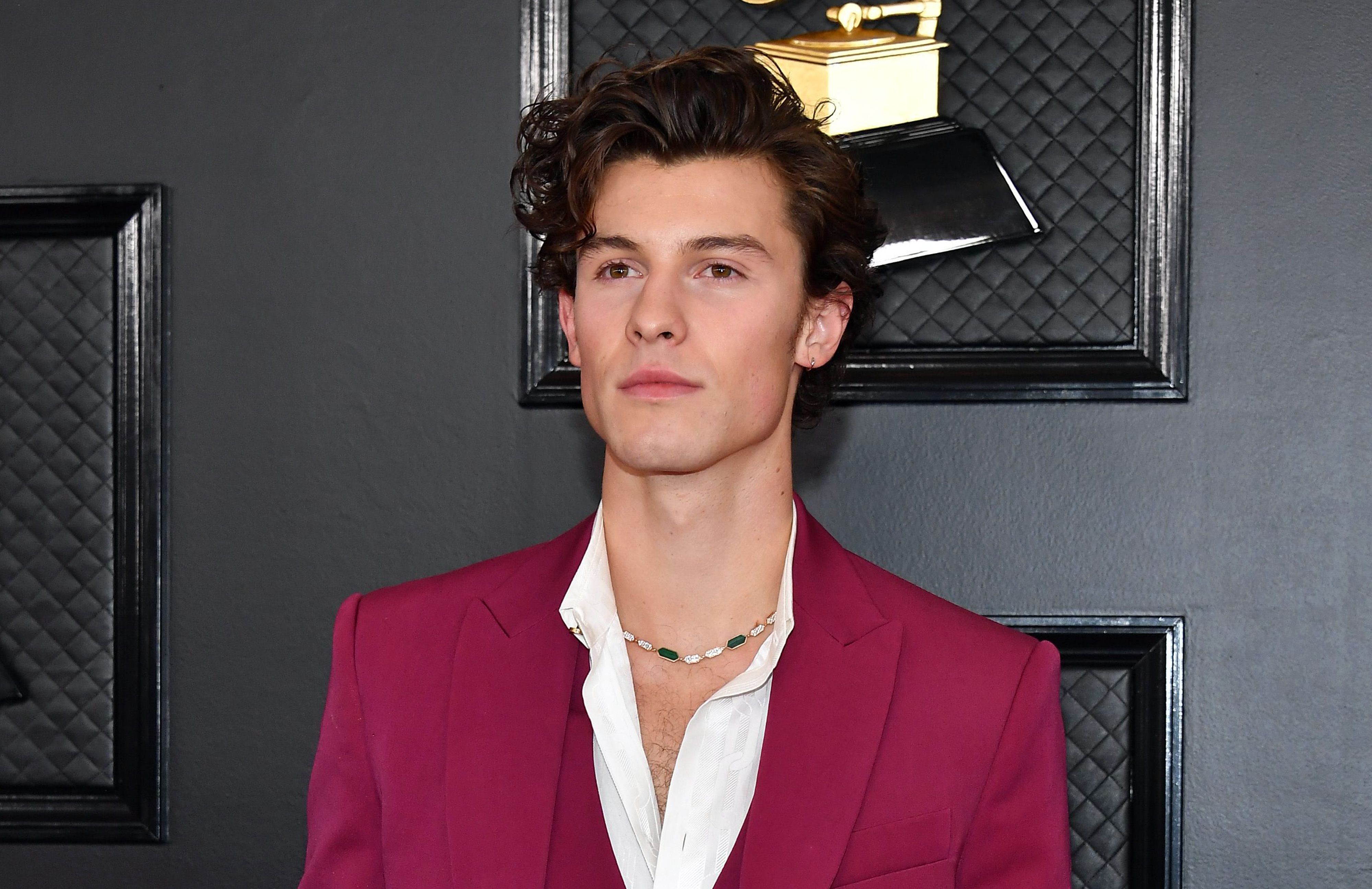 𝕿𝖍𝖊 𝕸𝖆𝖗𝖙𝖞𝖗 — Shawn Mendes | David Yurman 2023 Campaign |...