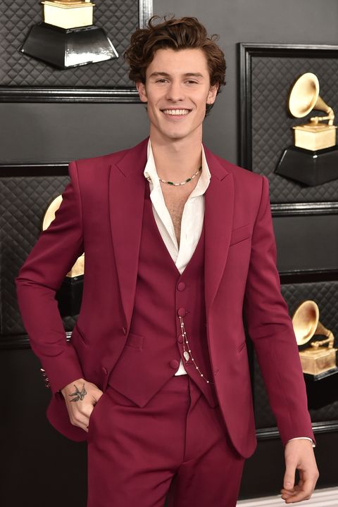62nd annual grammy awards   arrivals