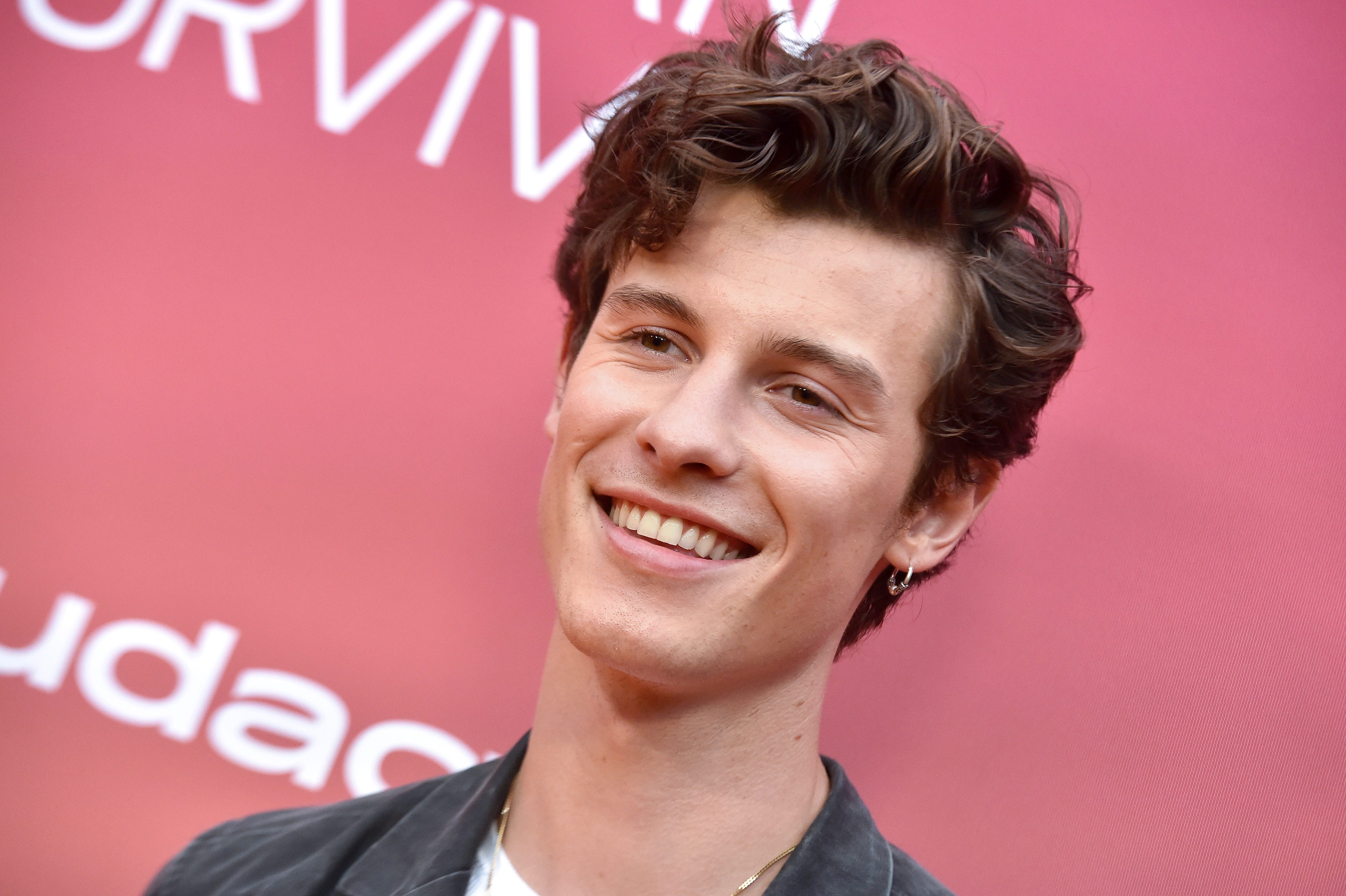 Shawn Mendes Gets In Touch With Spiritual Side After Camila Cabello Split!