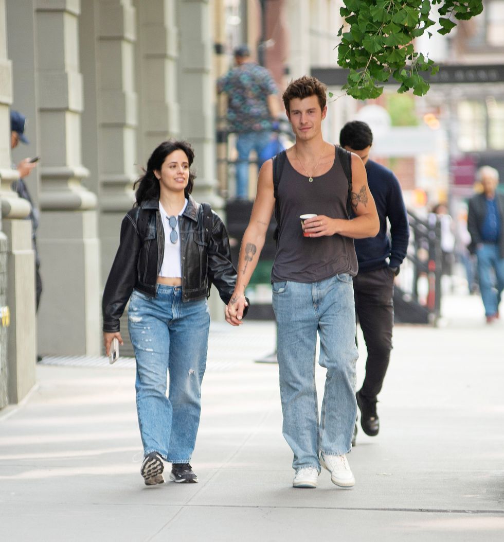 camila cabello and shawn mendes holding hands in nyc