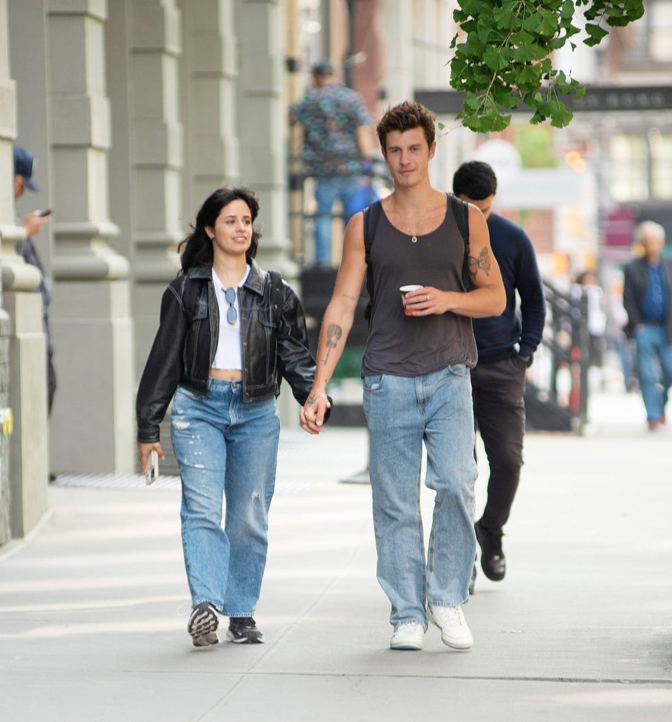 camila cabello and shawn mendes holding hands in nyc